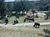 Wild Buffalo at Mount Rushmore