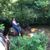 Gold Rush Stables - down at the creek.