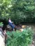 Gold Rush Stables - down at the creek.