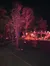 Night Time Ride at Rocky Top Alpine Mountain Coaster