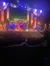 Branson's Christmas Wonderland Show