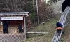 Alpine Coaster Pic