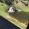 Pretty Creek on the 1880 Train: A 19th Century Train Ride Tour