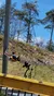 Alpine Coaster