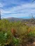 Anakeesta Views