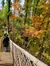 Bridge Photo