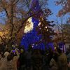 Lighted Tree at Silver Dollar City