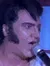 Elvis