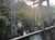 Silver Dollar City Ride