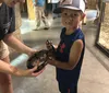 Very clean facility. All animals are indoor except for  the goats that you get to feed. There is a cockatoo there named Row and he is hilarious. He will sing and talk to you. XYZJackie Moore - Blytheville, AR