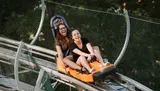 Two people are laughing joyfully while riding a mountain coaster.