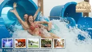 Things To Do / See