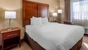 Room Photo for Comfort Inn Nashville