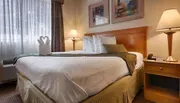 Photo of Best Western Newport News Inn & Suites Room
