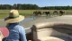 A person wearing a straw hat is observing a group of horses grazing near a water body in a lush, open field from the comfort of a boat.