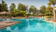 Outdoor Swimming Pool of Marriott Orlando Airport