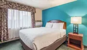 The image shows a basic hotel room with a queen-sized bed, patterned curtains, a striking teal accent wall, and standard furnishings including a nightstand and lamp.