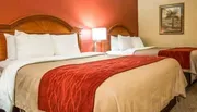 Comfort Inn & Suites Panama City FL Room Photos