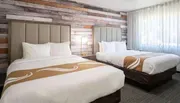 A modern hotel room with two double beds featuring a rustic wood plank accent wall and soft natural lighting from the window.