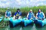 Four individuals are smiling while sitting in kayaks among tall green reeds, wearing life jackets under a sunny sky.