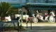 A white horse pulls a decorative carriage with passengers through a sunny urban area, driven by a person wearing a hat.
