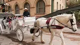 A white horse is pulling a decorated carriage with passengers on a city street while a driver in a cowboy hat looks on.