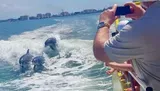 A person on a boat takes a photo of three dolphins jumping through the waves near the shore.