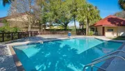 Outdoor Swimming Pool of Red Roof Inn Near Busch Gardens-Usf