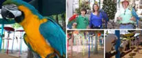 Parrot Mountain & Tropical Bird Sanctuary Collage