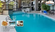 Best Western Toni Inn Pigeon Forge Indoor Swimming Pool