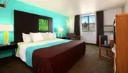 This image shows a neatly arranged hotel room with a colorful accent wall, featuring a large bed, a sitting area, a mounted artwork, and modern lamps.