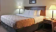 The image shows a neatly made bed with a brown decorative bedspread in a well-lit hotel room flanked by two table lamps on nightstands.