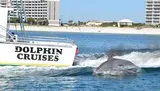 A dolphin leaps by a boat labeled DOLPHIN CRUISES near a sandy beach with buildings in the background.