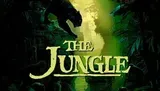 The image depicts a dark, lush jungle scene with a silhouette of a panther and the title The Jungle in bold letters amidst a green and mysterious setting.