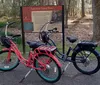 Two individuals wearing helmets are riding colorful bicycles across a grassy field