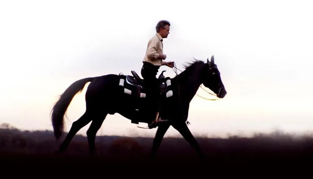 A person is riding a black horse against a bright sky