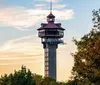 The image shows a tall observation tower with a distinctive hexagonal structure at the top set against a backdrop of a sunset sky and surrounded by trees