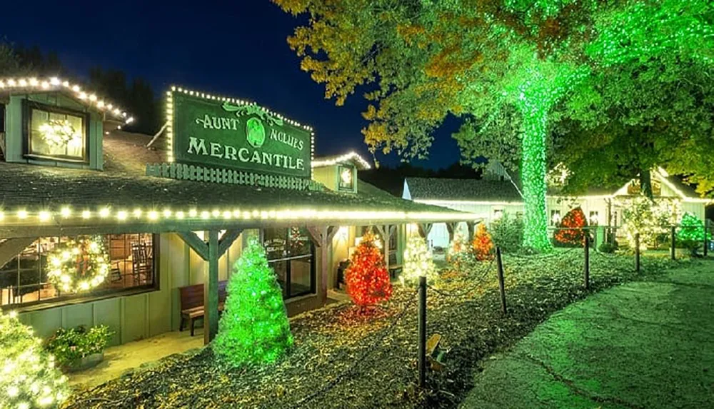 The image shows a charming storefront illuminated by warm string lights and vibrant colorful trees suggesting a festive atmosphere possibly during a holiday season