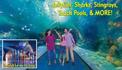 Popular Aquariums & Zoos