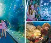 A family is joyfully exploring an underwater tunnel surrounded by colorful marine life in an aquarium