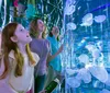 A family is joyfully exploring an underwater tunnel surrounded by colorful marine life in an aquarium