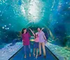 A family is joyfully exploring an underwater tunnel surrounded by colorful marine life in an aquarium