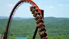A roller coaster full of riders is ascending a steep loop with a lush green forest in the background.