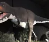 Dinosaur Museum Branson