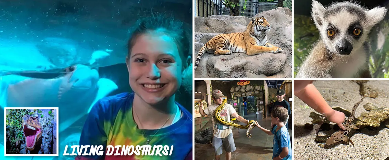 Wild World Branson Animal Adventure General Admission