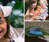 A child is looking closely with wide eyes at a butterfly perched on their nose