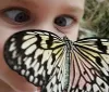 Be Amazed at the Butterfly Palace and Rainforest Adventure