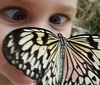 A child is looking closely with wide eyes at a butterfly perched on their nose