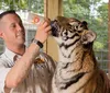 A man in a zookeepers uniform is holding a small box to a tigers ear and the tiger is seemingly attentive or curious about the object