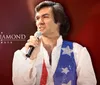 A performer in a jeweled outfit is holding a microphone against a sparkling background with text reading Jerry Presley Elvis Live and Elvis Cousin